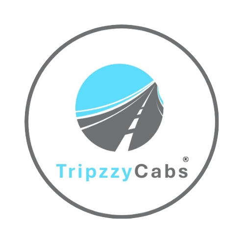 logo tripzzy